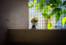 From Selfie to Anime: How AnimeGen Is Making AI Art Accessible